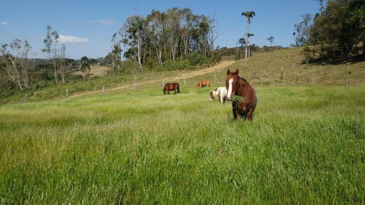 Rancho Sol Poente - Rancho Queimado - Sc Villa Eksteriør billede