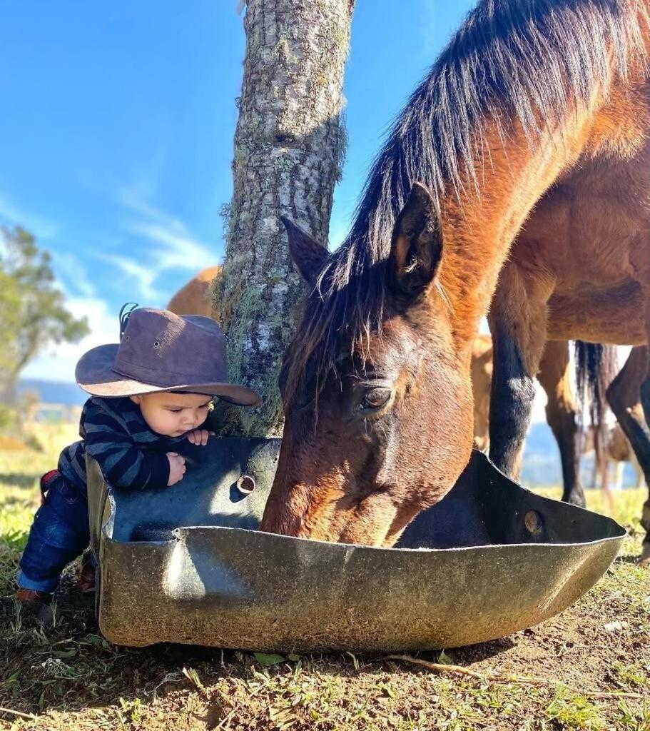 Rancho Sol Poente - Rancho Queimado - Sc Villa Eksteriør billede